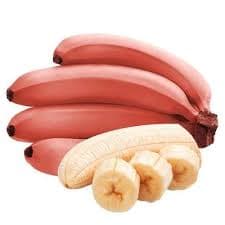 Banana Bio