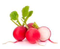 Rabanetes