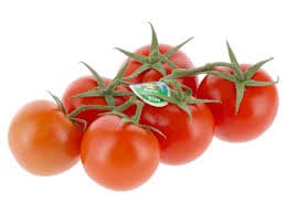 Tomate em Rama