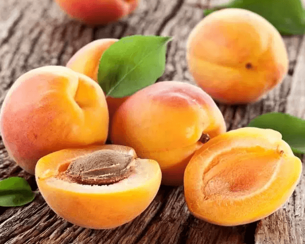Damasco