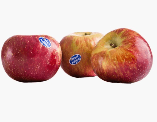 MACA FUGI GRANDE