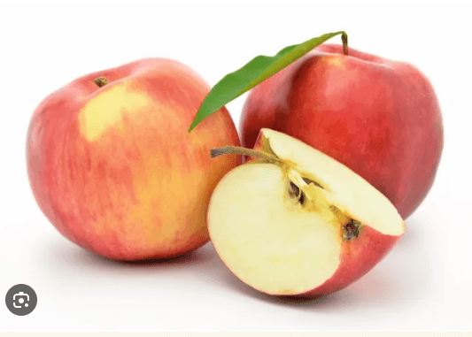 MACA JONA GOLD