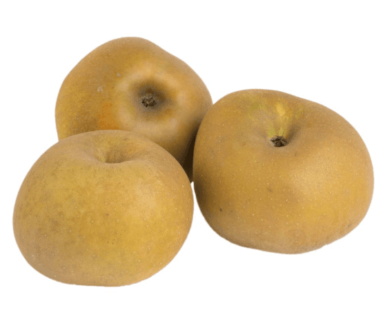 MACA REINETA