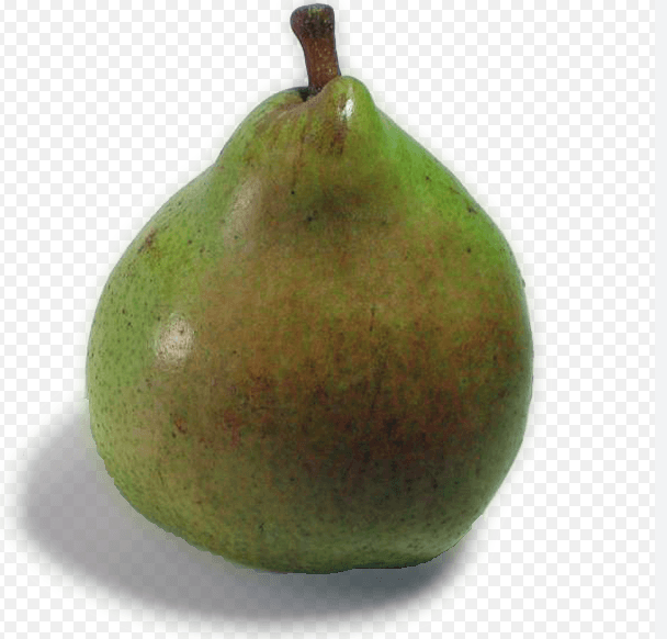 Pera Rocha North
